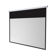 Celexon Manual Economy screen, 305 x 172 cm, 16:9