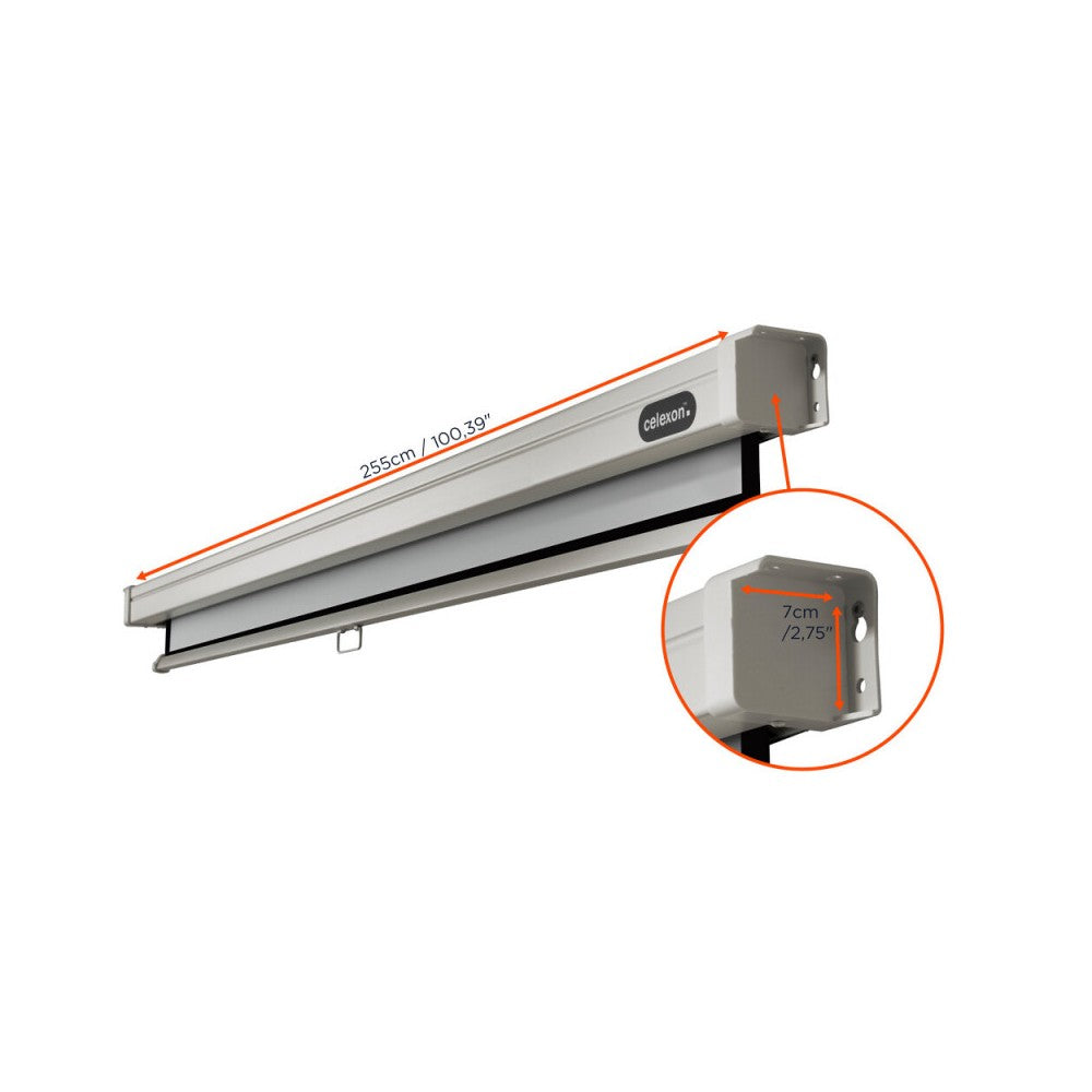 Celexon Manual Professional screen, 240 x 180 cm, 4:3