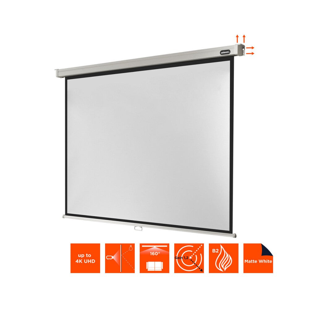 Celexon Manual Professional screen, 240 x 180 cm, 4:3