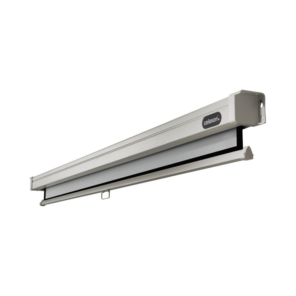 Celexon Manual Professional screen, 300 x 225 cm, 4:3