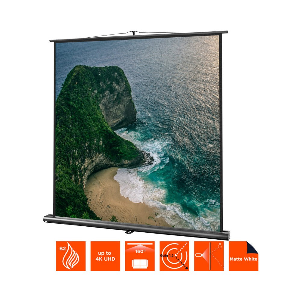 Celexon Ultramobile Professional screen, 120 x 120 cm, 1:1