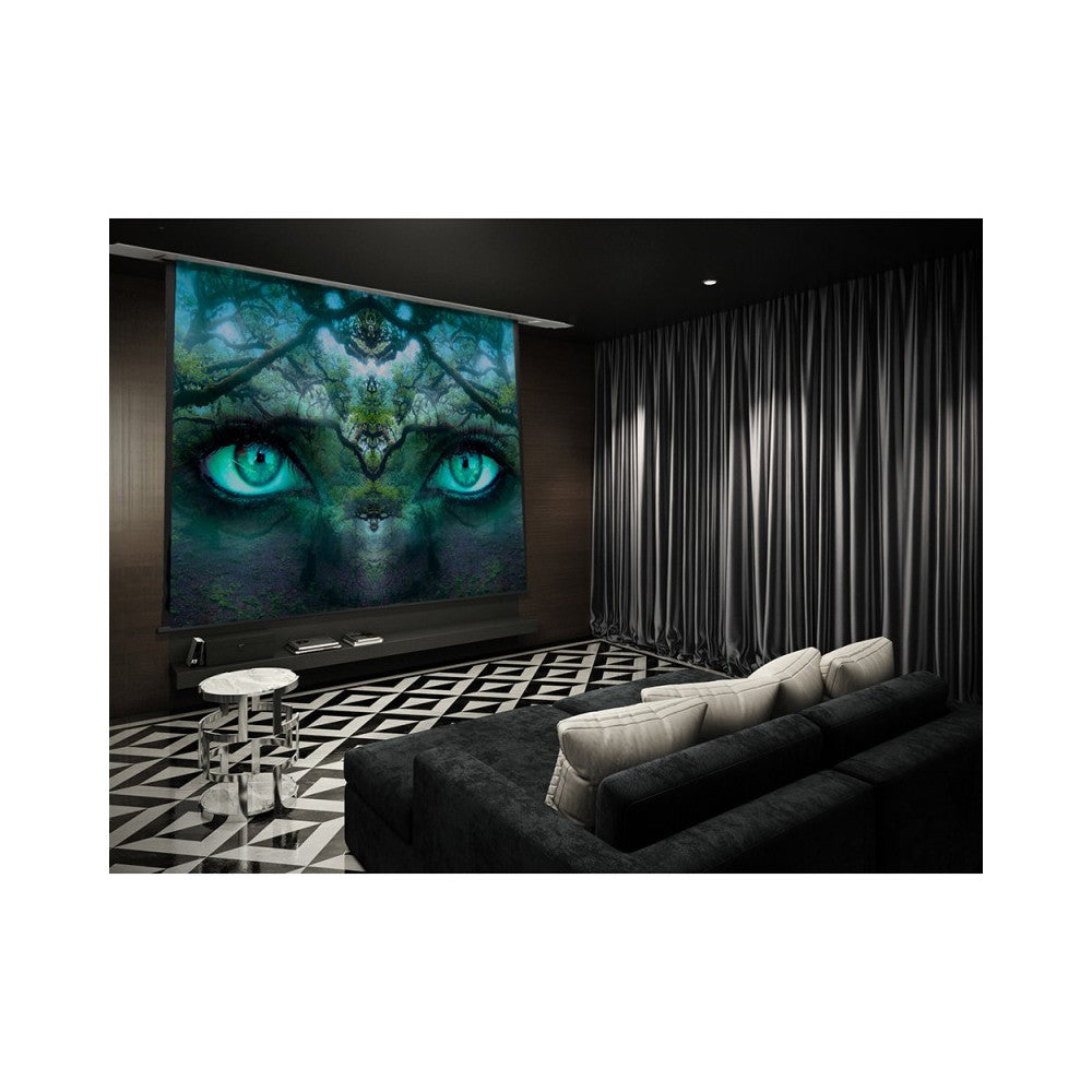 Pantalla eléctrica empotrable en techo Celexon Professional Plus, 160 x 120 cm, 4:3