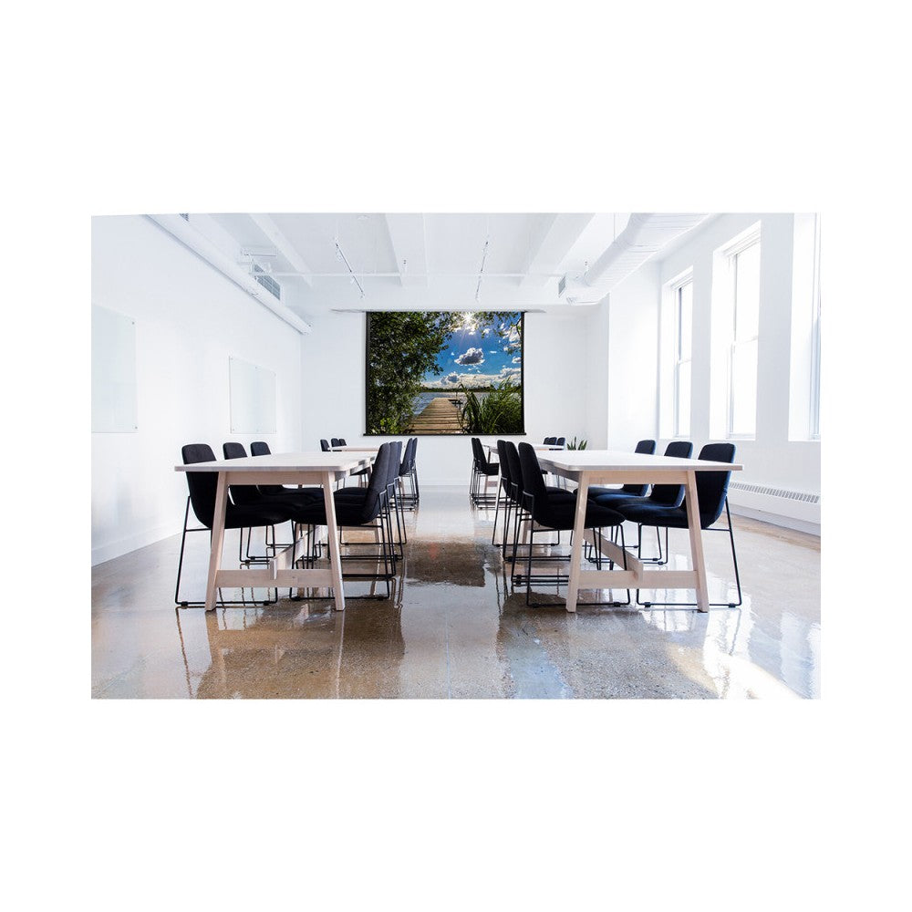 Celexon Professional Plus Ceiling Recessed Electric screen, 240 x 180 cm, 4:3