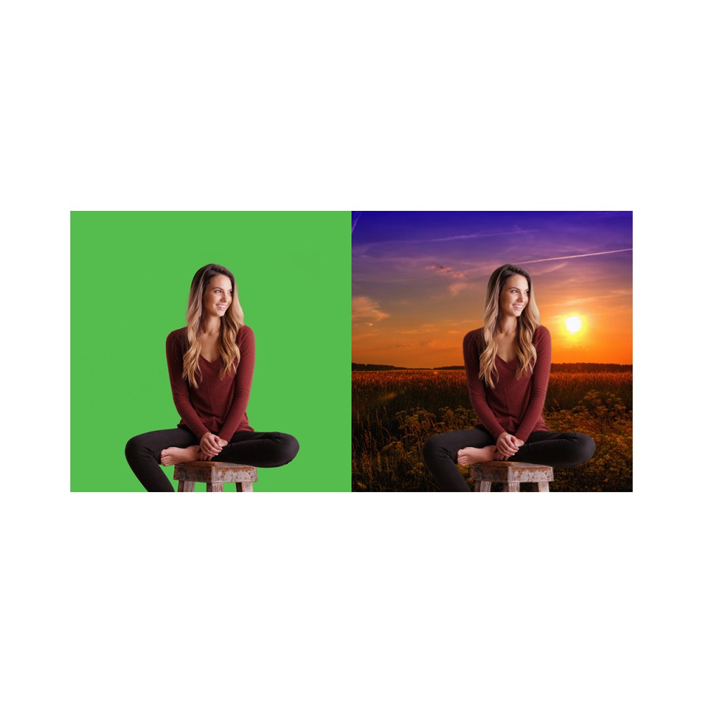 Pantalla Verde Chroma Key Móvil Celexon 150 x 180 cm