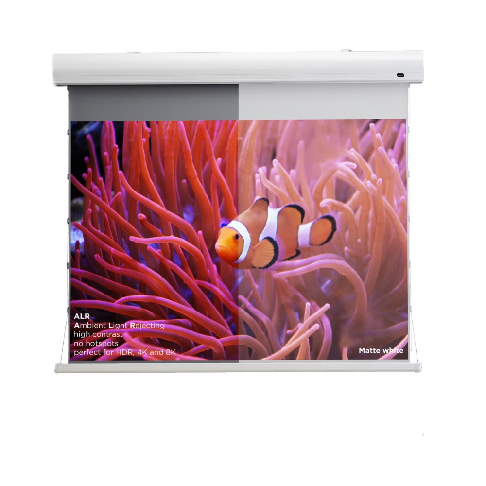 Celexon Dynamic Slate ALR HomeCinema High Contrast Screen Tension, 243 x 136 cm, 110 inch, 16:9