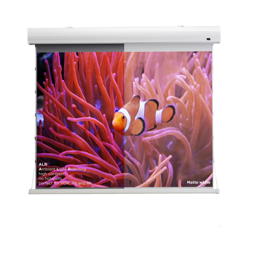 Pantalla Celexon Dynamic Slate ALR HomeCinema de alto contraste tensada, 265 x 149 cm, 120 pulgadas, 16:9
