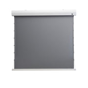 Celexon Dynamic Slate ALR HomeCinema High Contrast screen Tension, 298 x 168 cm, 135 inch, 16:9
