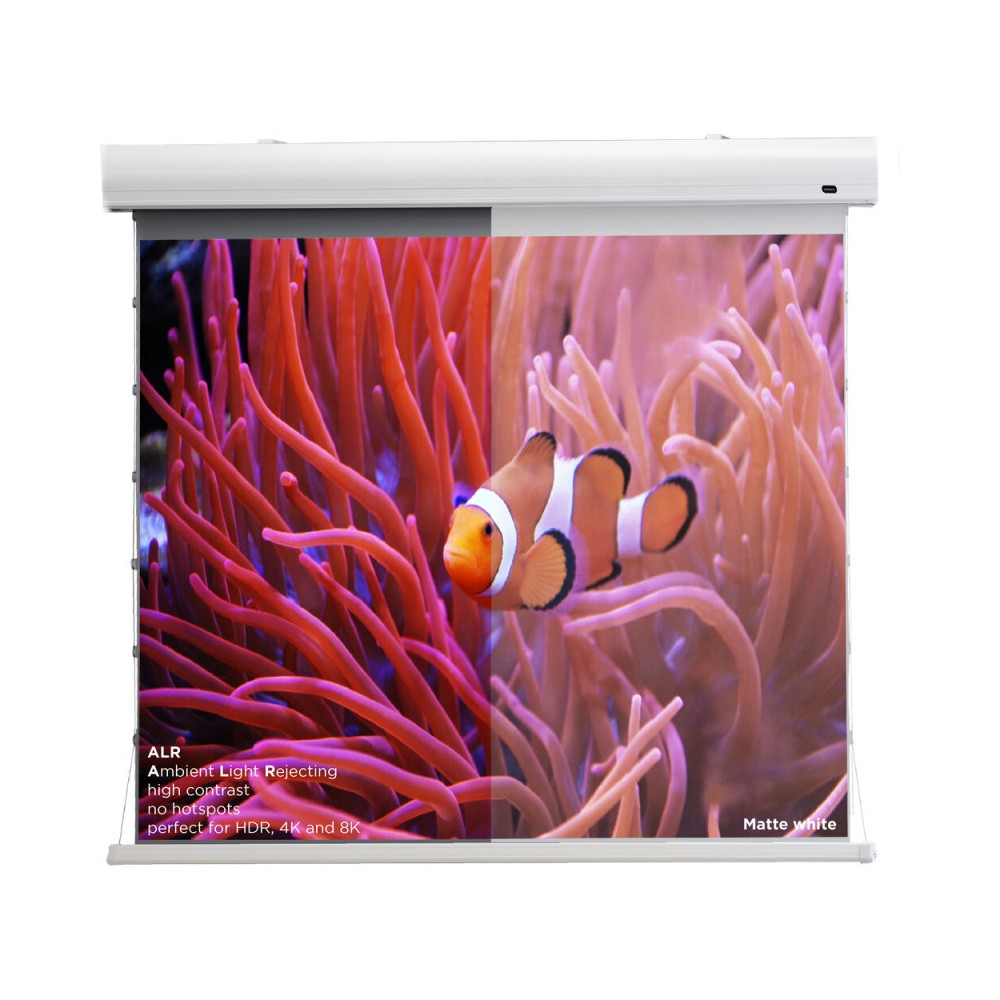 Celexon Dynamic Slate ALR HomeCinema High Contrast screen Tension, 298 x 168 cm, 135 inch, 16:9