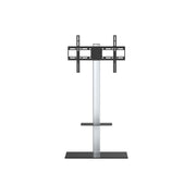 Celexon Economy Height adjustable display stand for for 23-50 inch monitors