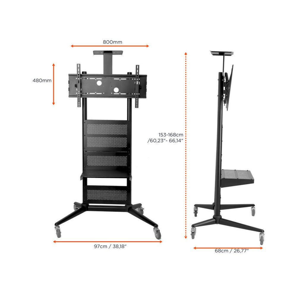 Celexon Economy Height adjustable display trolley for 32-70 inch displays