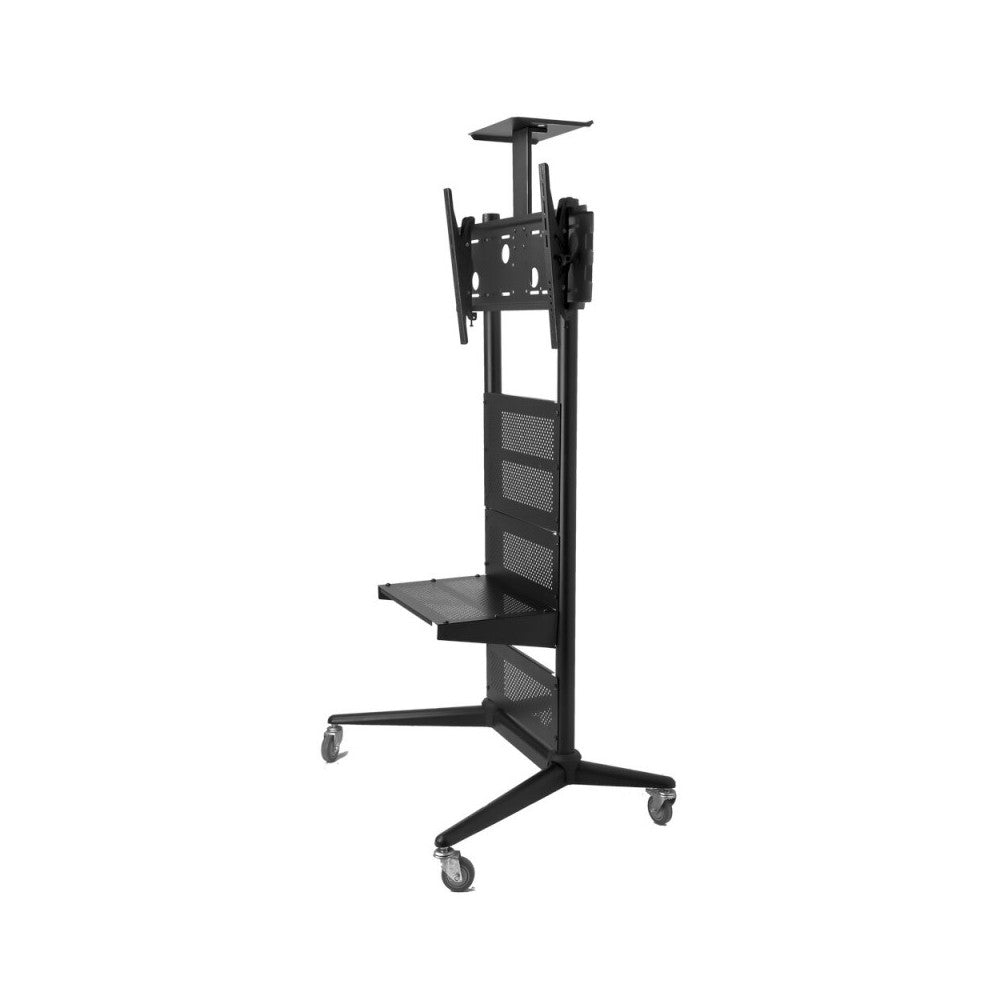 Celexon Economy Height adjustable display trolley for 32-70 inch displays