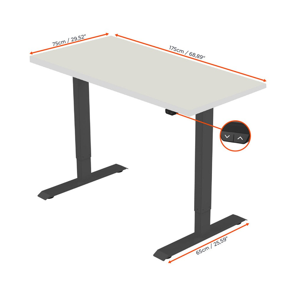 Celexon Economy series Electrically height-adjustable desk, black, with table top 175 x 75 cm