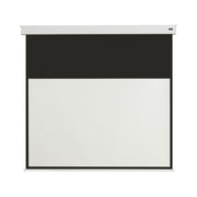 Celexon Electric Professional Plus Battery Screen V2.0, 200 x 113 cm, 16:9