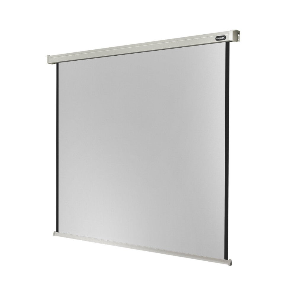 Celexon Electric Professional screen, 300 x 300 cm, 1:1