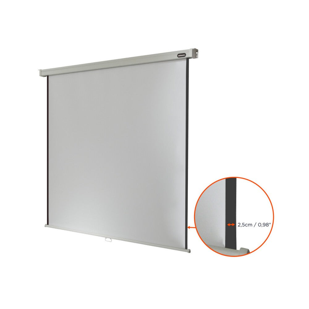 Pantalla manual profesional Celexon, 120 x 120 cm, 1:1