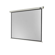 Celexon Electric Professional screen, 160 x 120 cm, 4:3