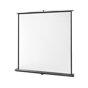 Celexon Ultramobile Professional screen, 180 x 180 cm, 1:1