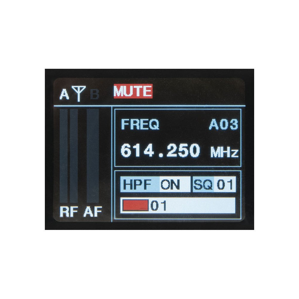 DAP EDGE EHS-2 Juego doble de micrófonos inalámbricos de mano - 610–670 MHz