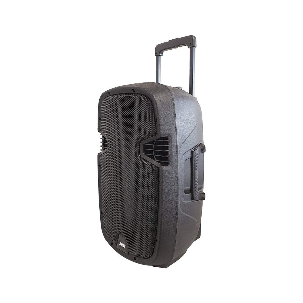 Standalone 40W active speaker with 2 UHF microphones, USB/SD/MP3/BLUETOOTH multimedia player