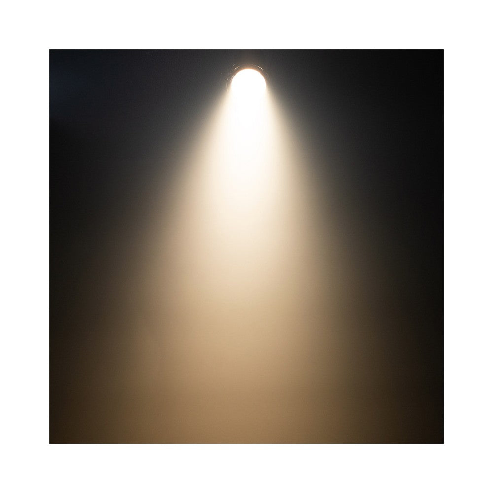 Evolite Warm White LED fresnel projector, 1 x 200W LED