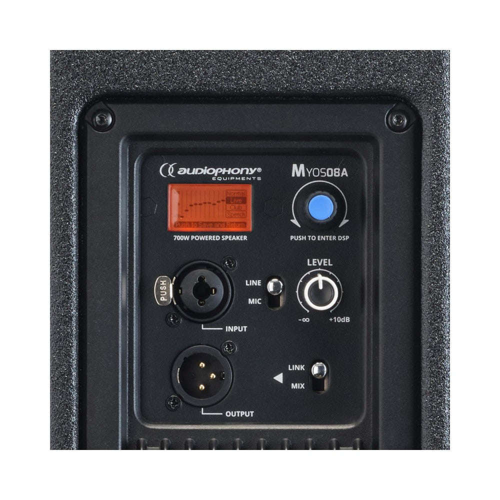 Audiophony 700W RMS 8' active wood speaker with DSP