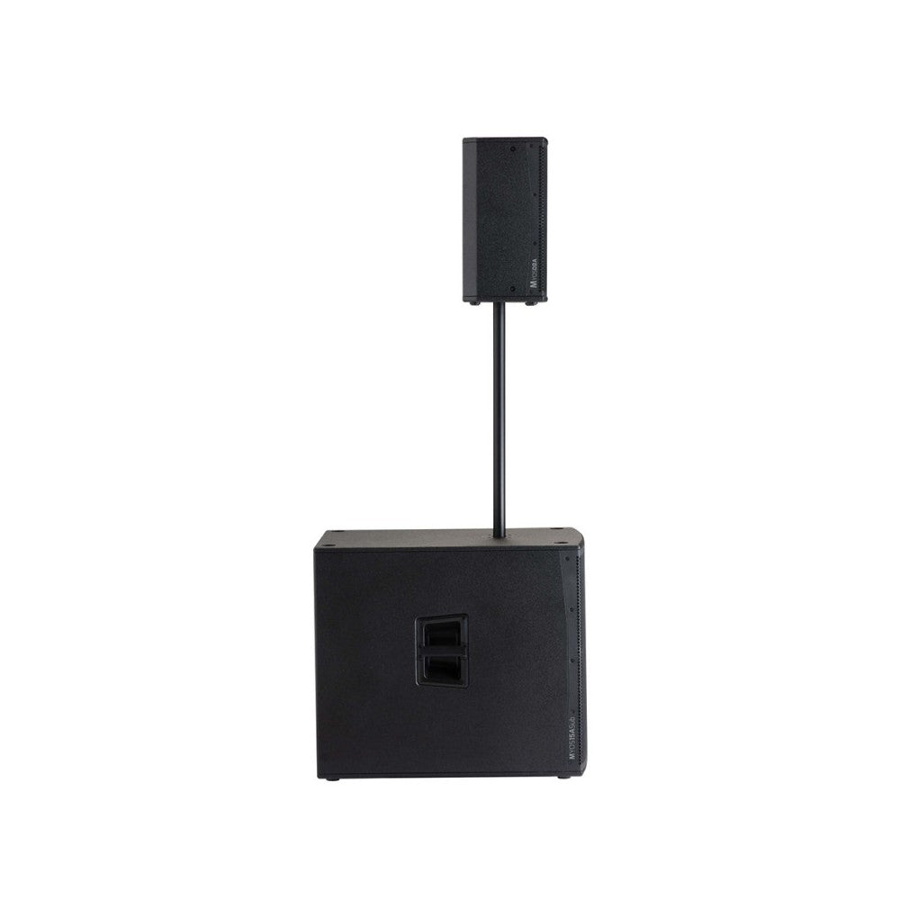 Audiophony 700W RMS 8' active wood speaker with DSP