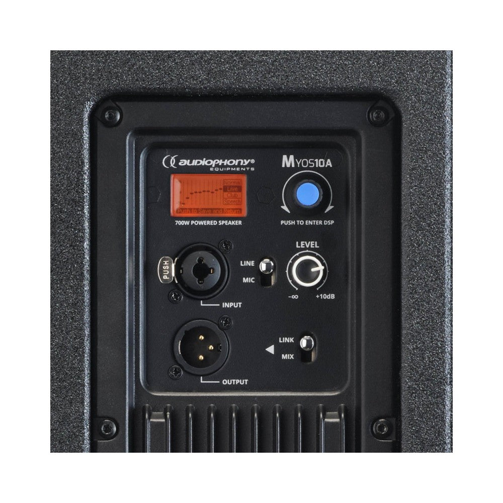 Audiophony 700W RMS 10' active wood speaker with DSP