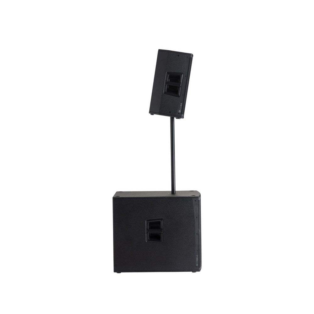 Audiophony 700W RMS 10' active wood speaker with DSP