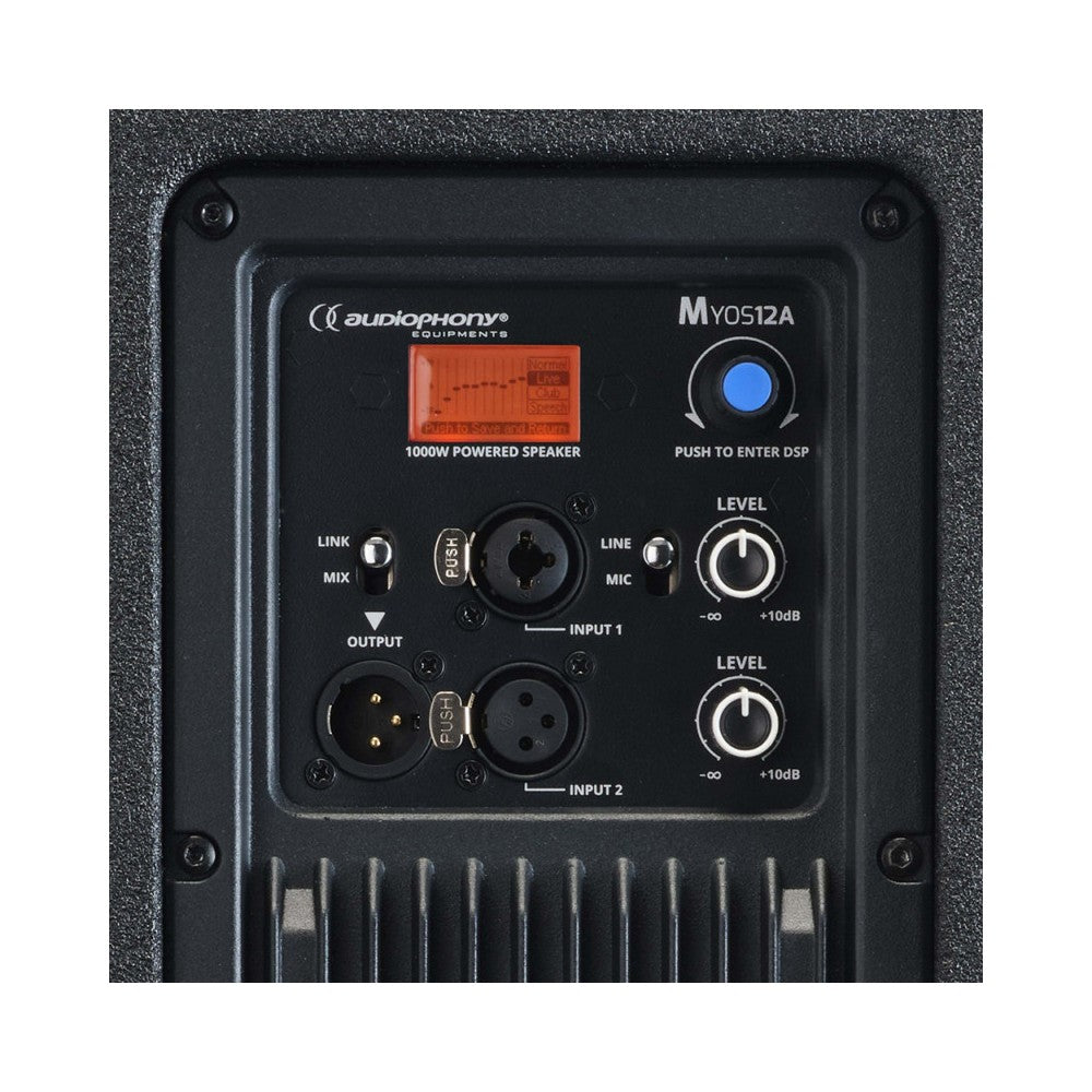 Audiophony 1000 W RMS 12' active wood speaker with DSP