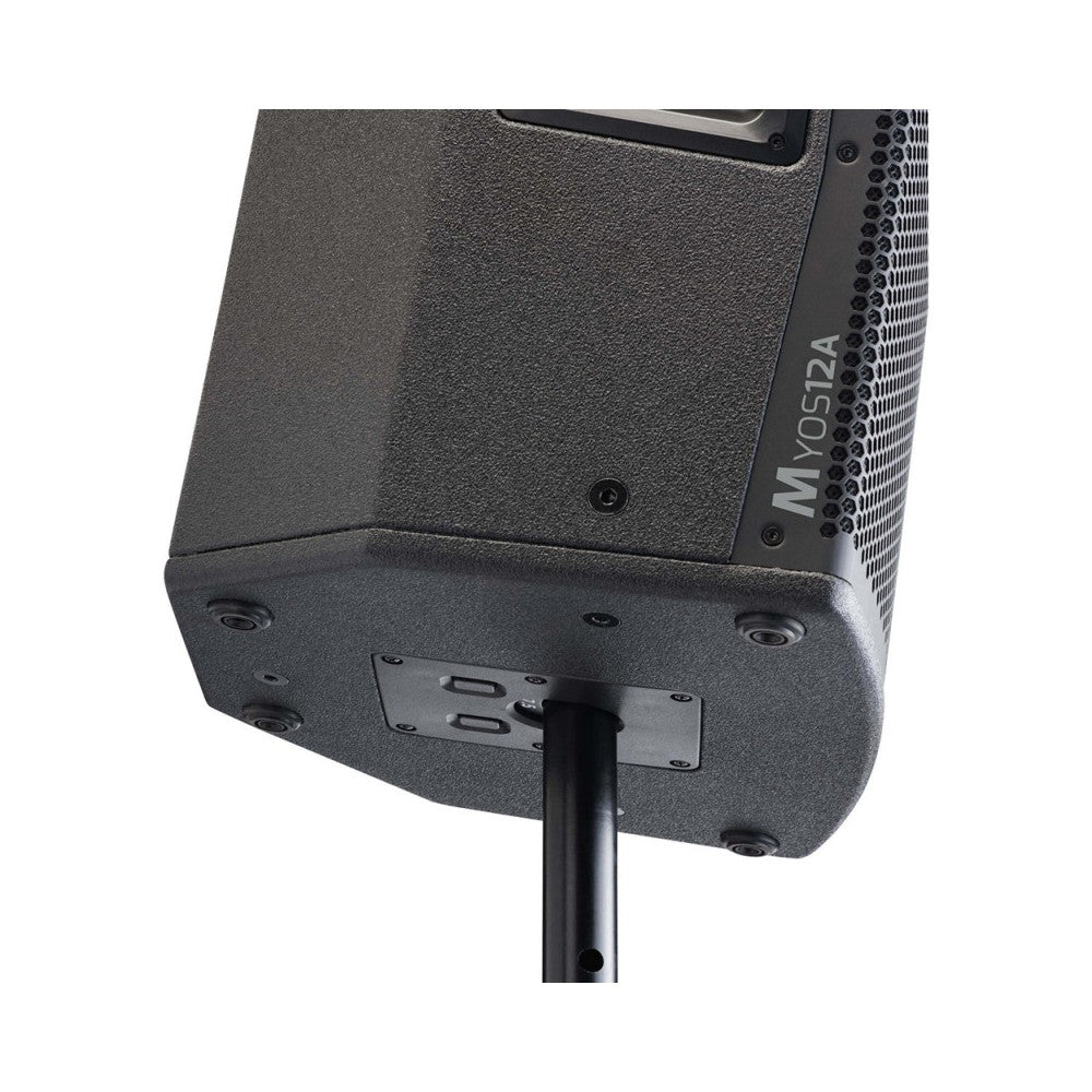 Audiophony 1000 W RMS 12' active wood speaker with DSP