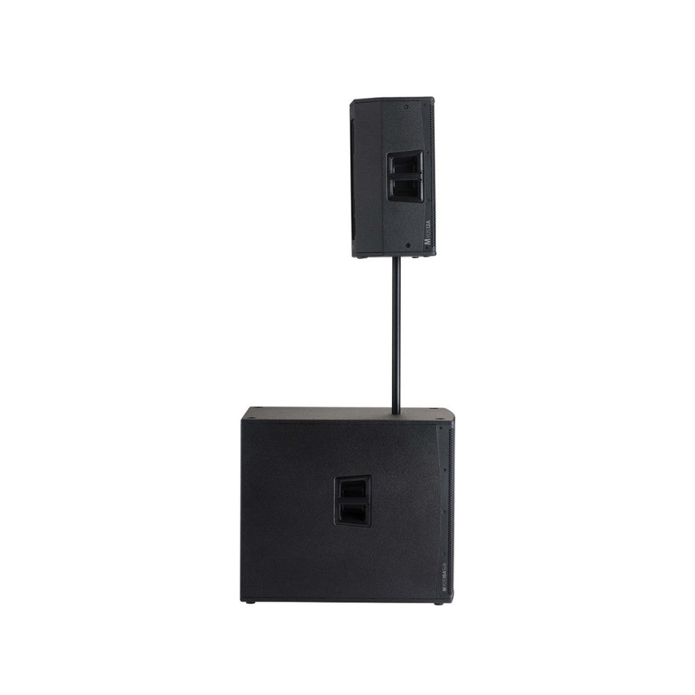 Audiophony 1000 W RMS 12' active wood speaker with DSP