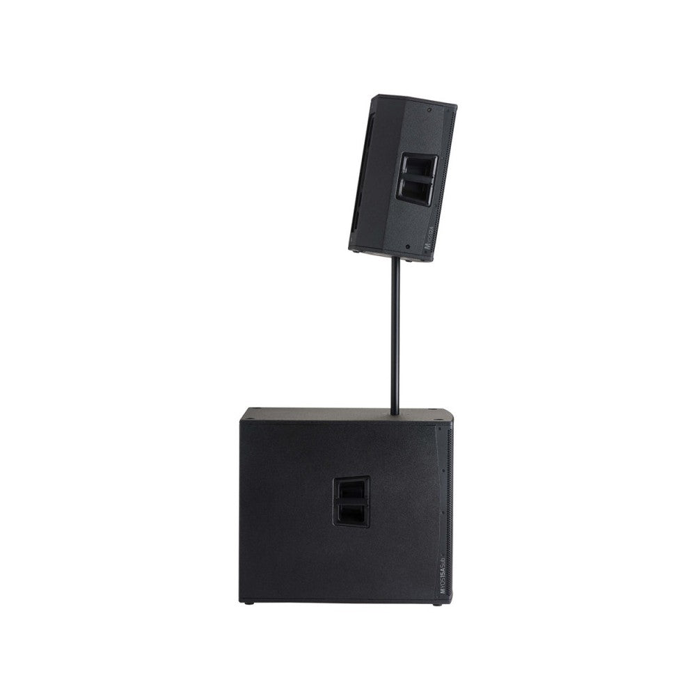 Audiophony 1000 W RMS 12' active wood speaker with DSP
