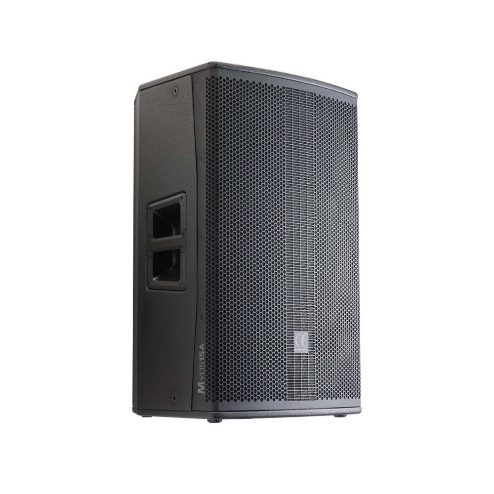 Audiophony 1000 W RMS 15' active wood speaker with DSP