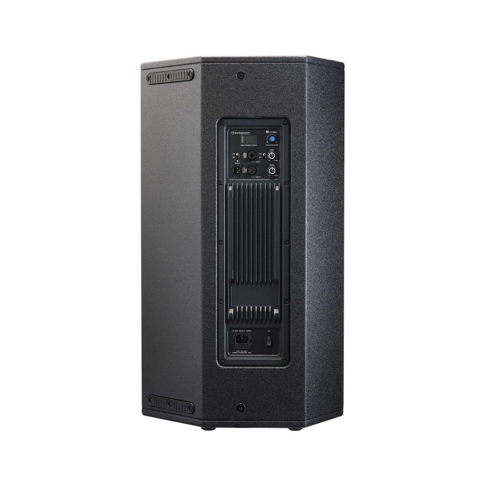 Audiophony 1000 W RMS 15' active wood speaker with DSP