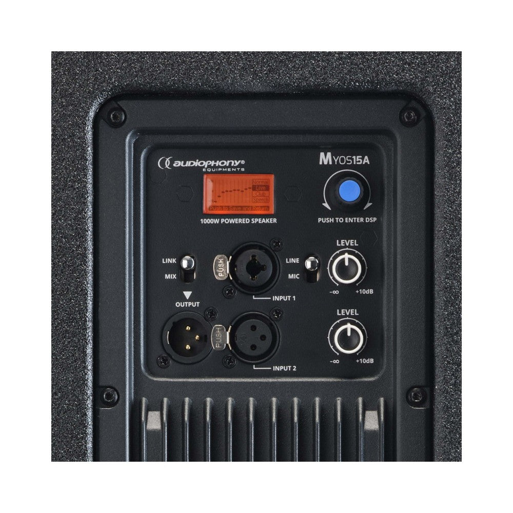 Audiophony 1000 W RMS 15' active wood speaker with DSP