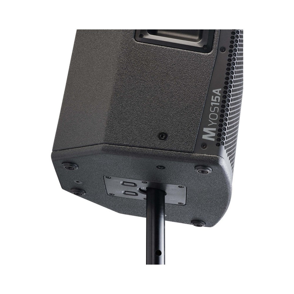 Audiophony 1000 W RMS 15' active wood speaker with DSP