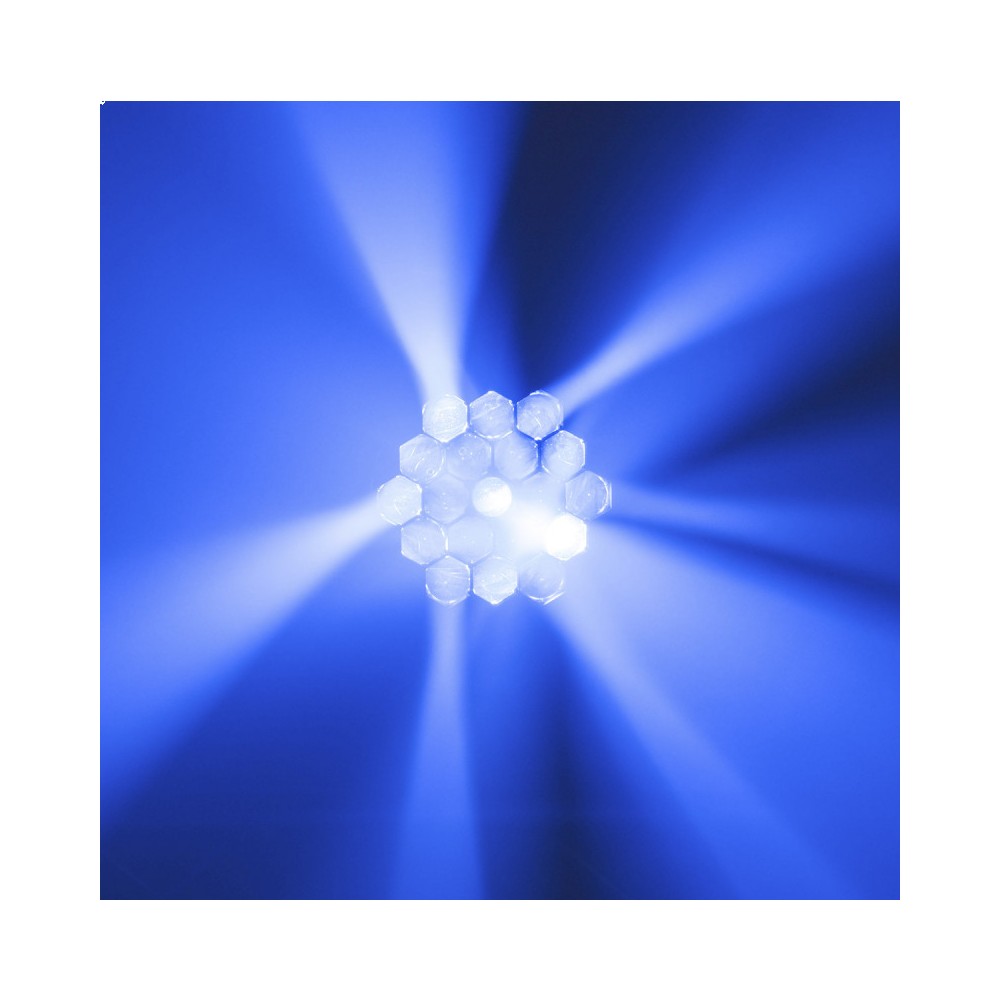 Cabezas móviles Wash Evolite con zoom y 19 LED QUAD RGBW de 40 W