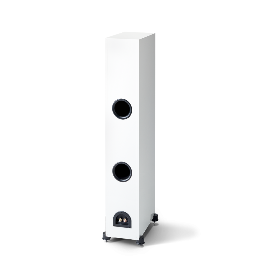 PARADIGM MONITOR SE 6000F ALTAVOZ DE PIE