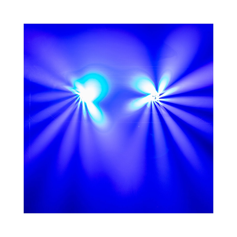 Evolite Pair of 12 x 40 W professional wash moving heads with zoom and Bee rotary effect, delivered in a transport flight case