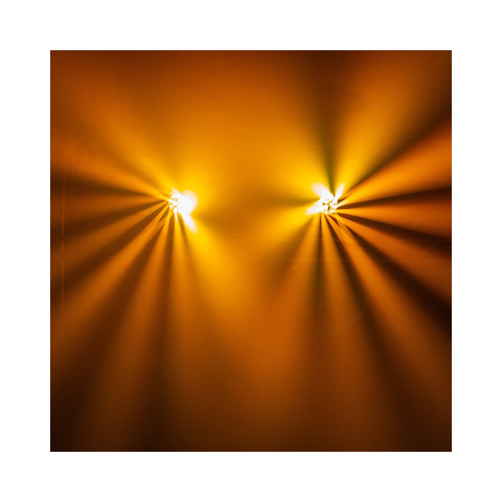 Evolite Pair of 12 x 40 W professional wash moving heads with zoom and Bee rotary effect, delivered in a transport flight case