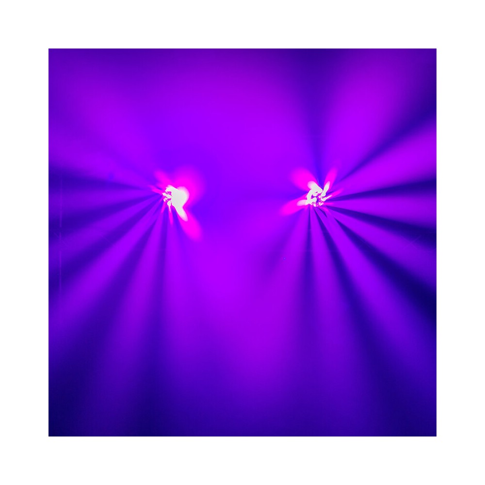 Evolite Pair of 12 x 40 W professional wash moving heads with zoom and Bee rotary effect, delivered in a transport flight case