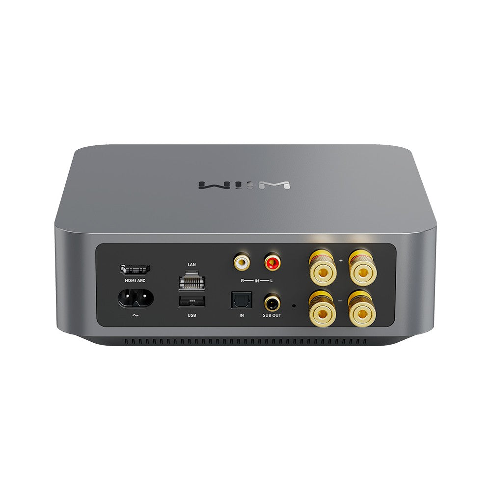WiiM Amp Network Audio Streamer Serie Amp