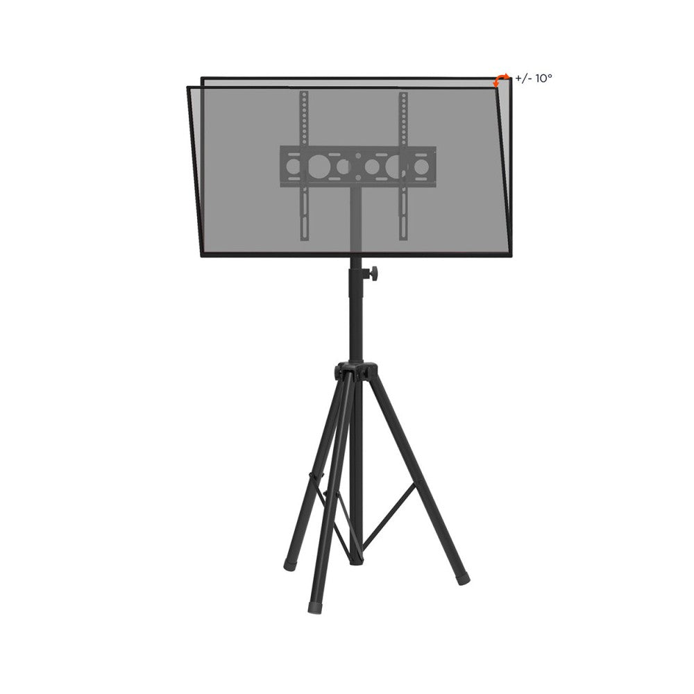 Celexon Economy Adjust-4055T