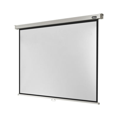 celexon Manual Professional screen, 220 x 165 cm, 4:3