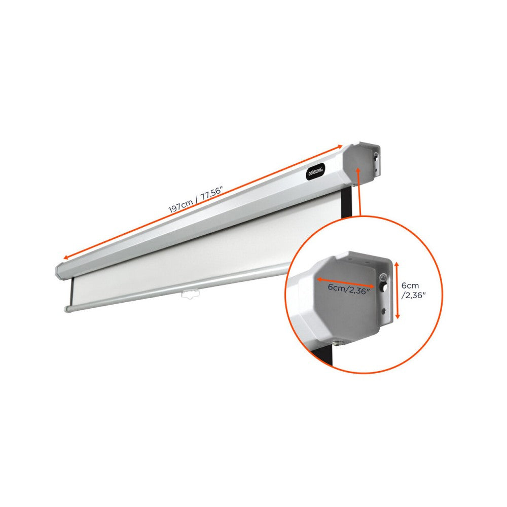celexon Manual Economy screen, 180 x 180 cm, 1:1