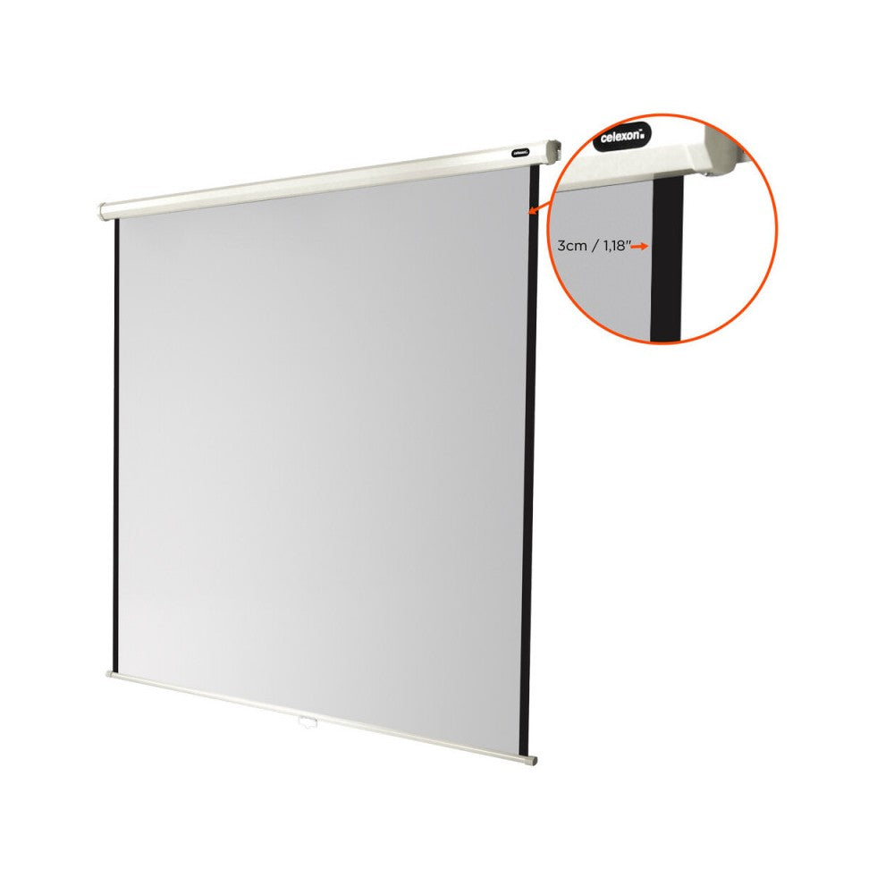 celexon Manual Economy screen, 180 x 180 cm, 1:1