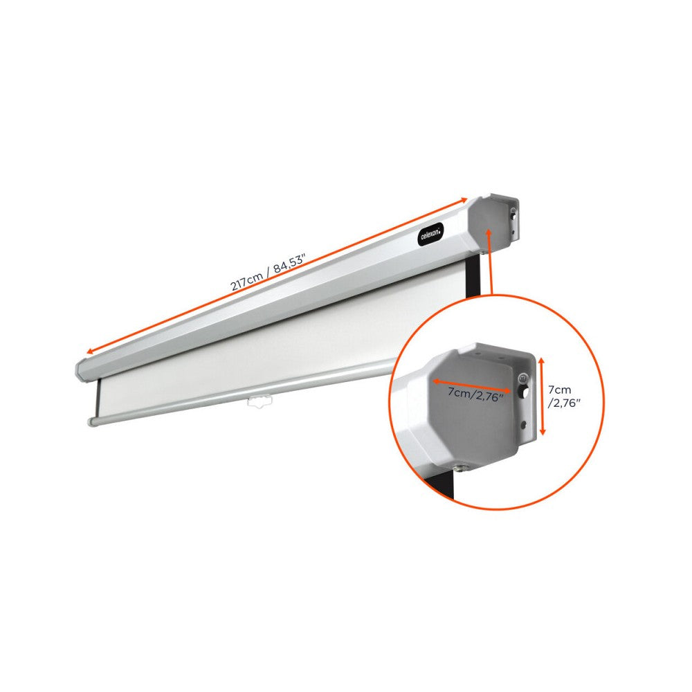 celexon Manual Economy screen, 200 x 200 cm, 1:1