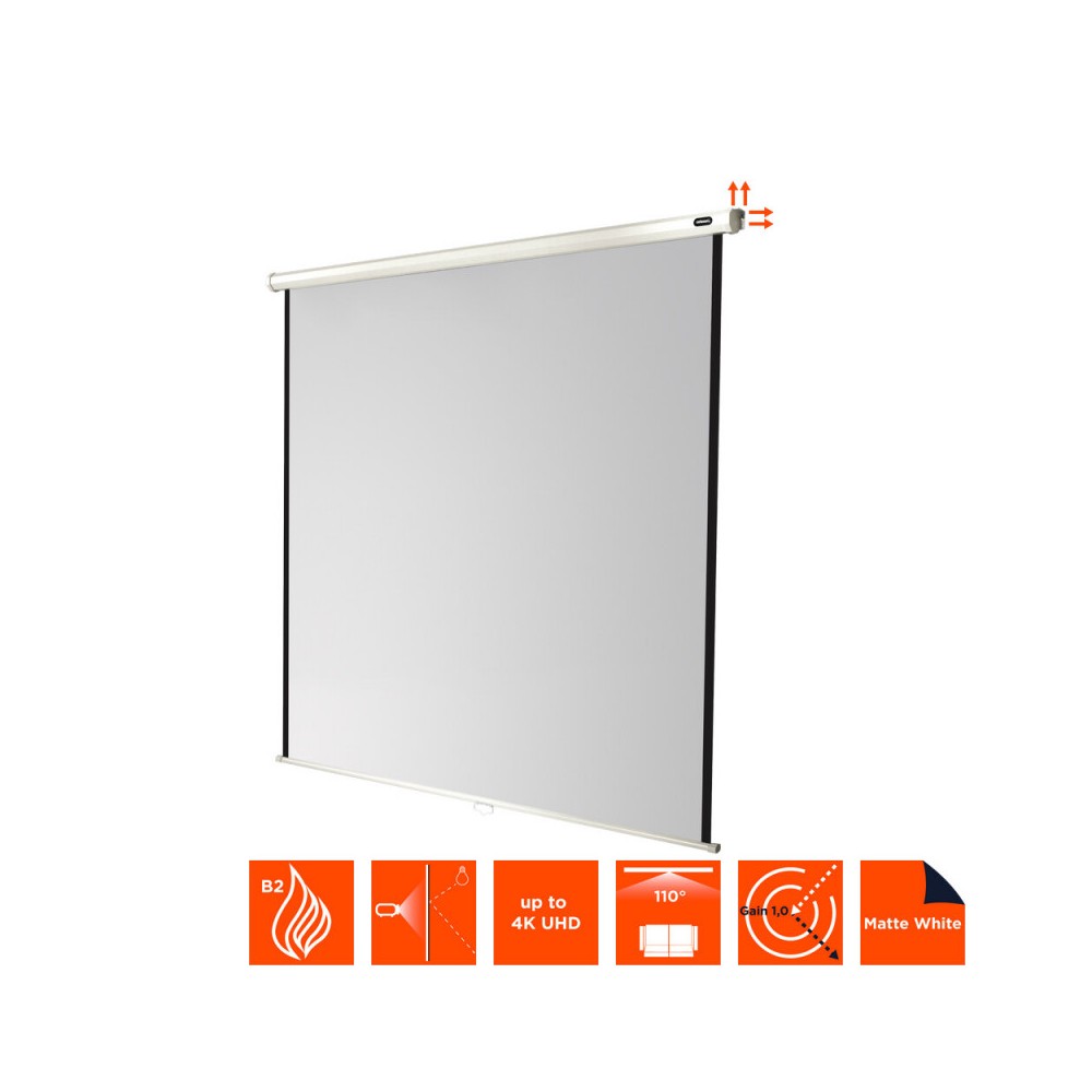 celexon Manual Economy screen, 200 x 200 cm, 1:1