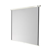 celexon Manual Economy screen, 120 x 120 cm, 1:1