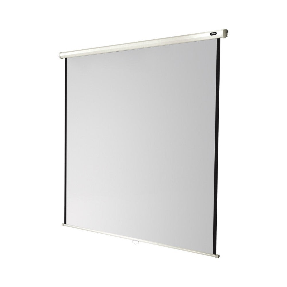 celexon Manual Economy screen, 120 x 120 cm, 1:1